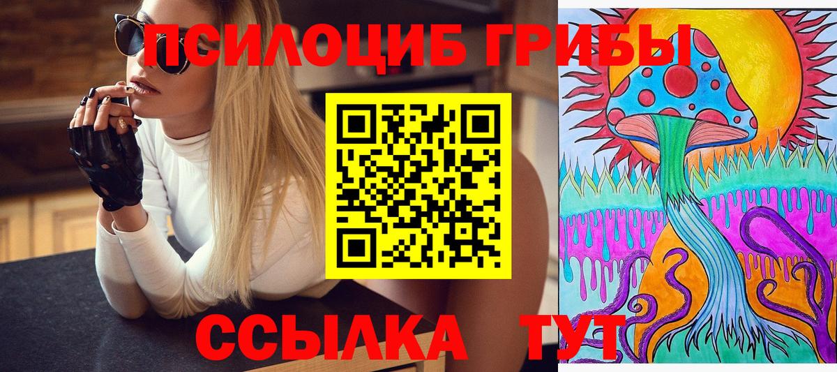 Рузаевка  Псилоцибиновые грибы MAGIC MUSHROOMS  Вход с VPN 